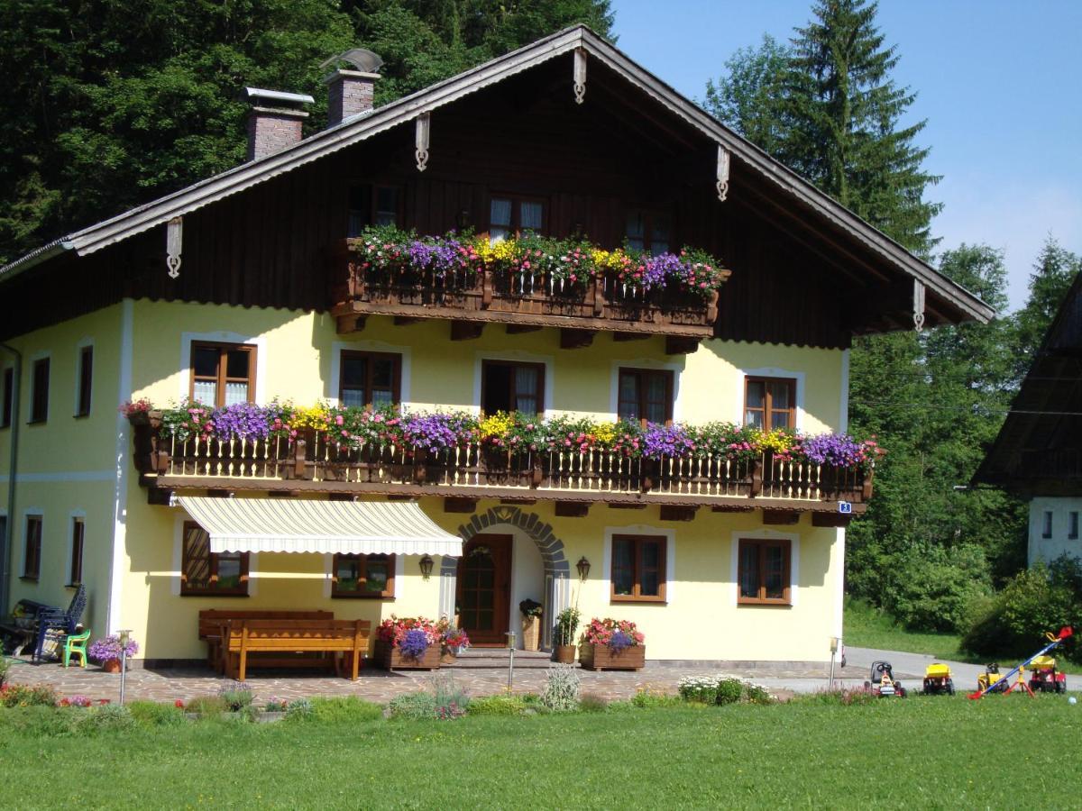 Pferdehof Almgut Apartamento Faistenau Exterior foto
