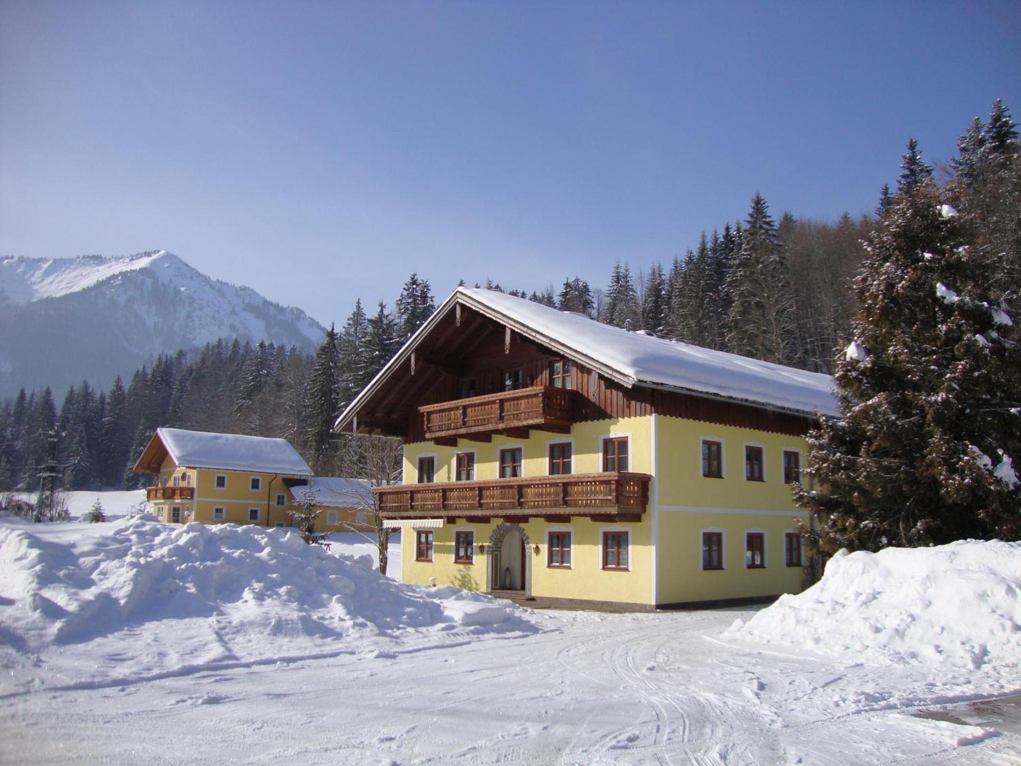 Pferdehof Almgut Apartamento Faistenau Exterior foto